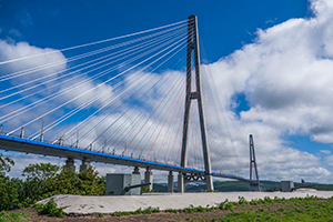 Русский мост открыл богатый потенциал острова Русского